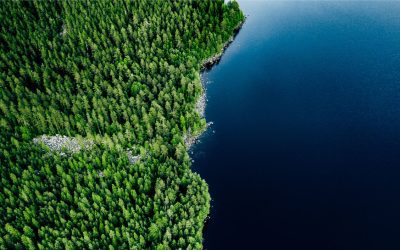 Blue Wolf Capital Partners complète l&rsquo;acquisition de LOGISTEC Corporation